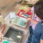 Invita la SECULT a sus talleres y cursos de verano