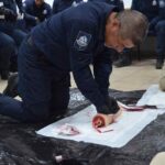 Capacitan a 20 custodios penitenciarios en el CECAFIS